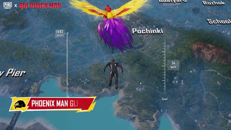Phoenix Man Glider