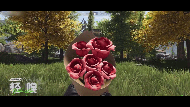 red rose interaction