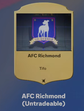 AFC Richmond Tifo