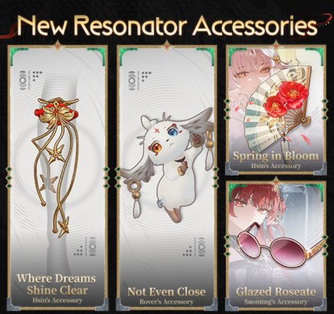 Accessory