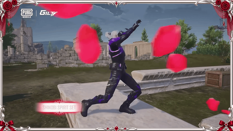 Shinobi Spirit Set